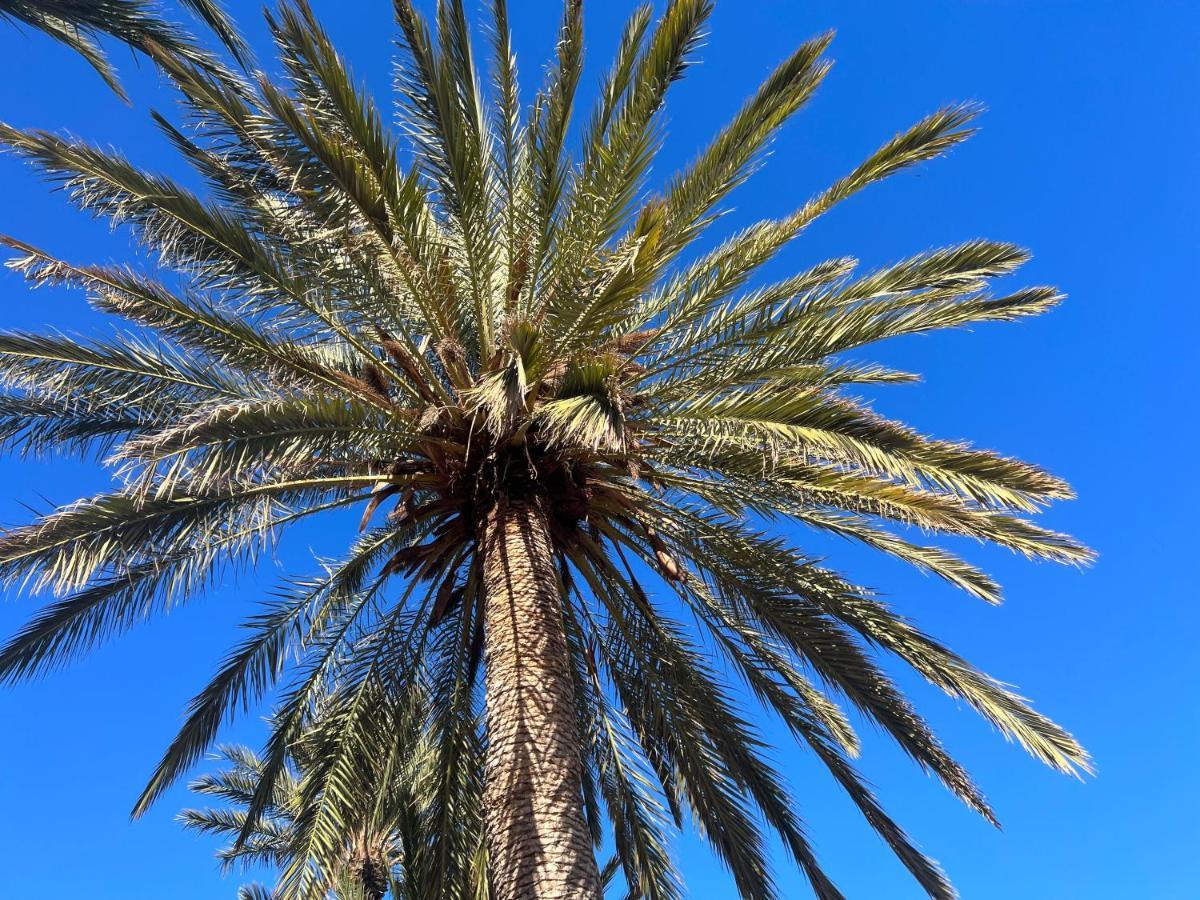 Fincasol San Sebastián de la Gomera Εξωτερικό φωτογραφία
